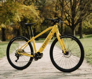 EconicOne Bandit sa sjajnim Bafang M410 motorom