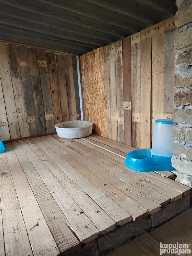 smestaj i cuvanje macaka