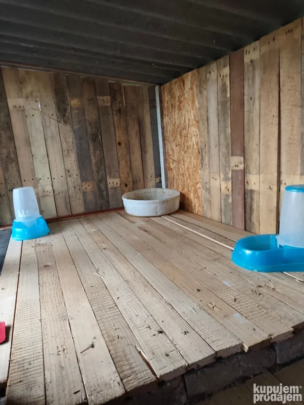 smestaj i cuvanje macaka