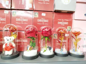 Ruža pod staklenim zvonom