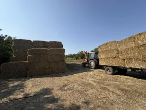 big bale slame