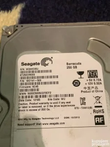 Seagate 250GB