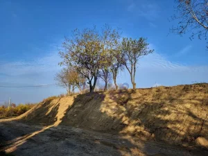 Sremski Karlovci, Fruška gora, 15.07 ar