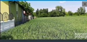 Rumenka, 54 ar