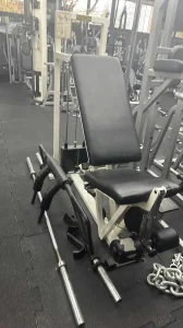 Technogym isotonic / Leg extension / prednja loza / sut
