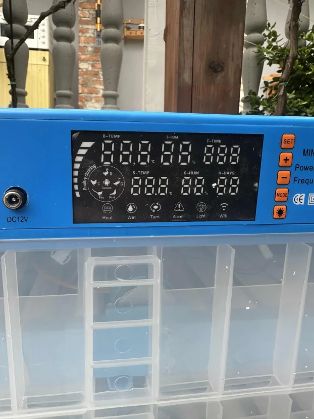 Inkubator od 256.jaja