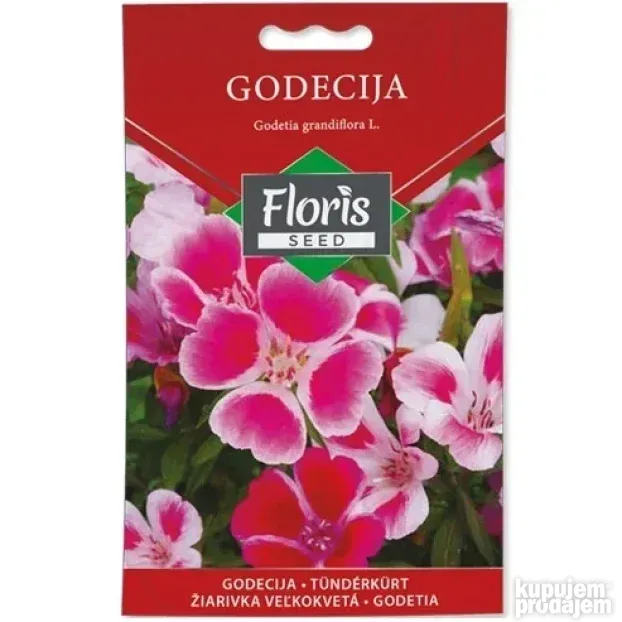 Cveće Godecija seme 0.5g - 10kom. FLORIS