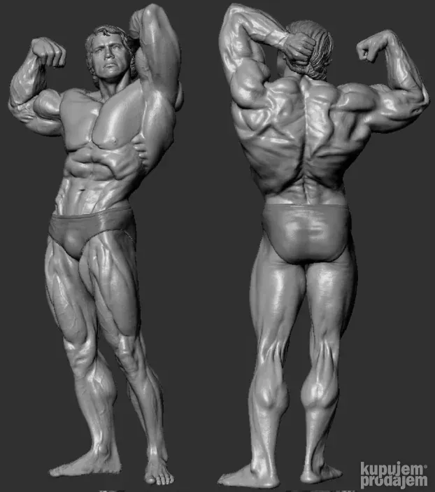 Figura Arnold Švarceneger