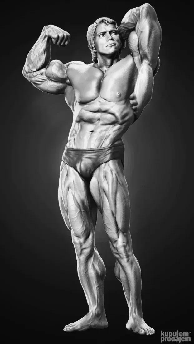 Figura Arnold Švarceneger