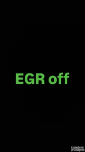 EGR off gasenje softverski
