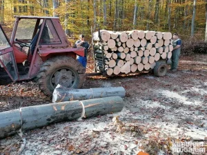 prikolica za drva