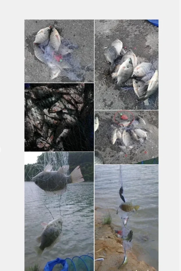 mreža hranilica i virbla za 120 dinara