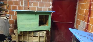 Kucice za psa Kraljevo