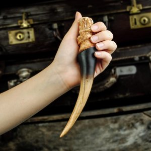 Harry Potter (Hari Poter) - Basilisk zub