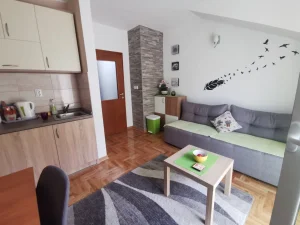 Apartman Vrnjacka Banja