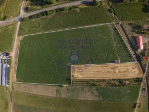 Temerin, Širi centar, 180 ar