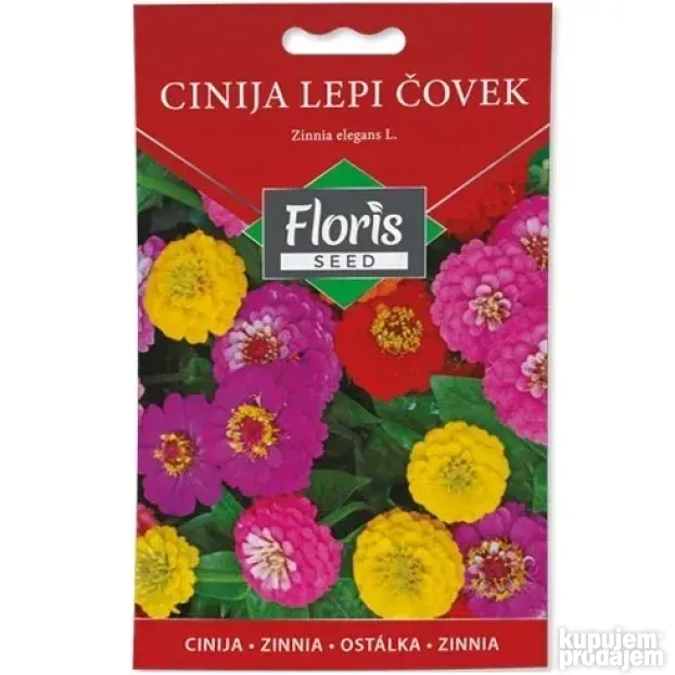 Cveće Cinija lepi čovek seme 1g - 10kom. FLORIS