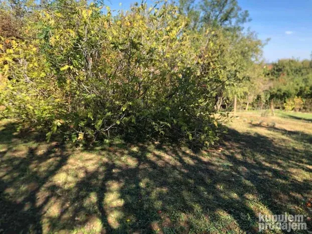 Fantastičan pogled na grad Novi Sad!