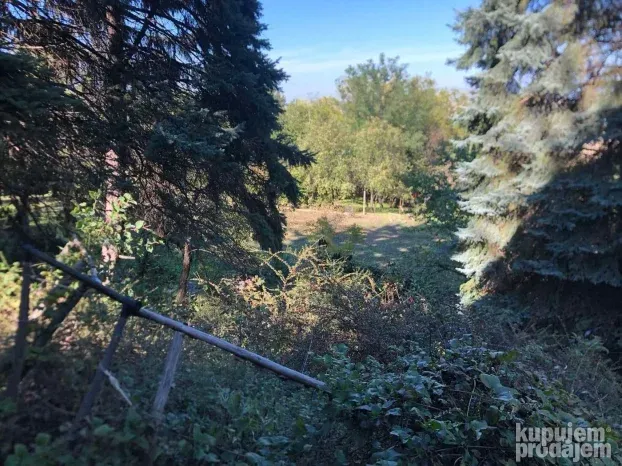 Fantastičan pogled na grad Novi Sad!