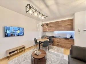 Zlatibor, Centar, 1.0 jednosoban, 33 m²