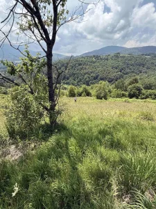 zemljiste planina Goč broj parcele 1015