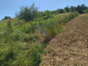 Beočin, Sviloš, 4 ar