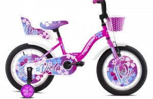 CAPRIOLO Viola 16" 2021