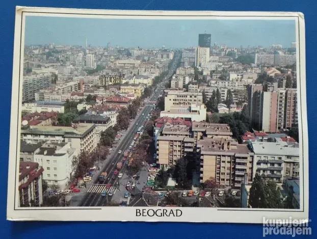 Beograd Lot 557