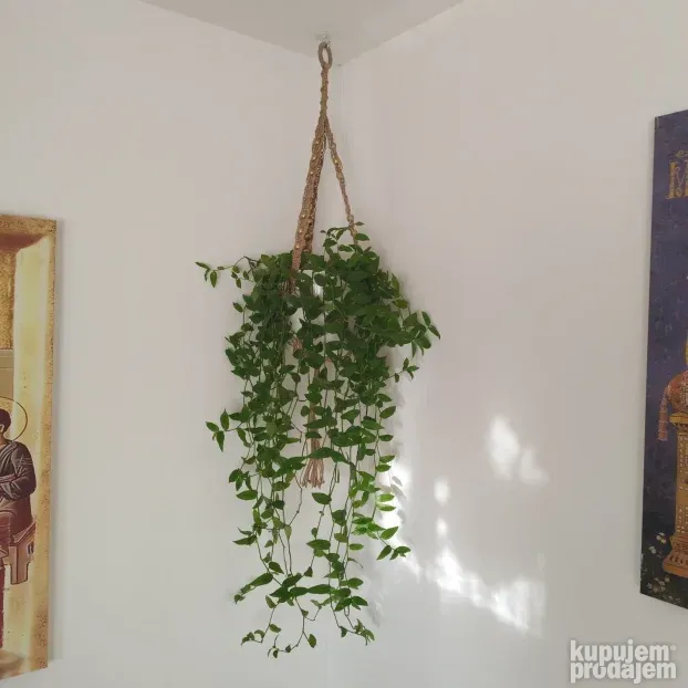Makrame držač za saksiju od prirodng materijala, BOHO style