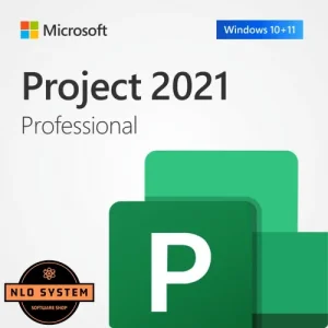 Microsoft Project 2019/2021 Professional - Retail licenca