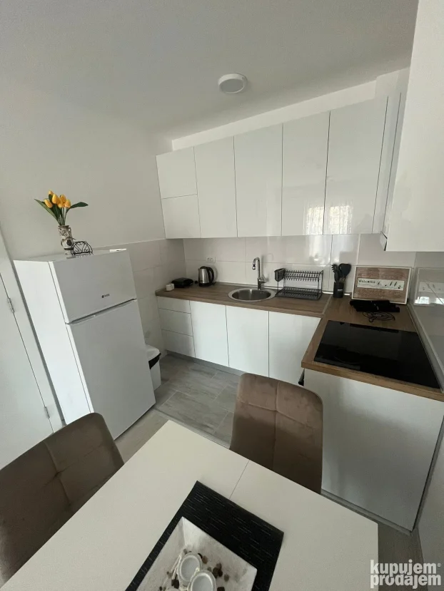 Izdavanje apartmana Milinković Banja Koviljača