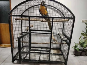 Kavez za papagaje D150 Š75 V170