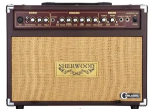 Carlsbro Sherwood 30R pojacalo za akusticnu gitaru 30W