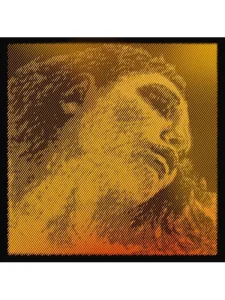 PIRASTRO Evah Pirazzi Gold Set žice za Violu 425021