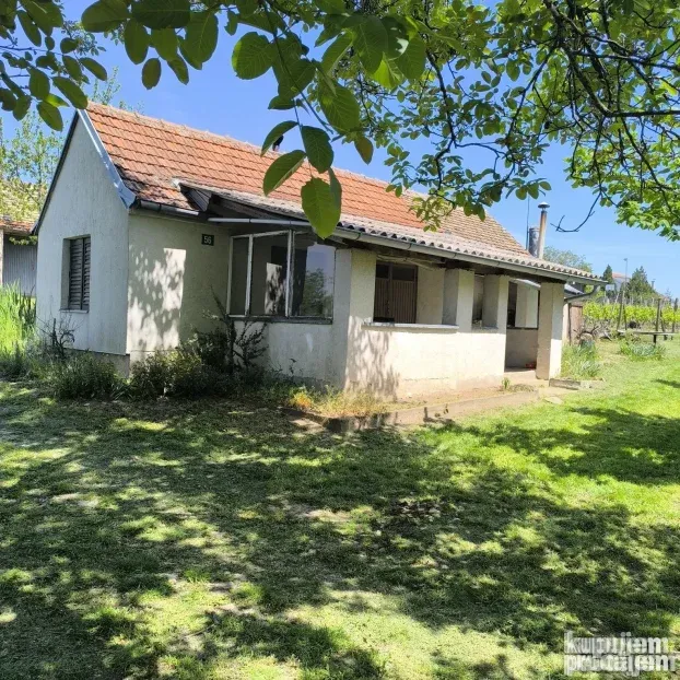 Vinograd sa voćnjakom