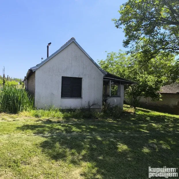 Vinograd sa voćnjakom