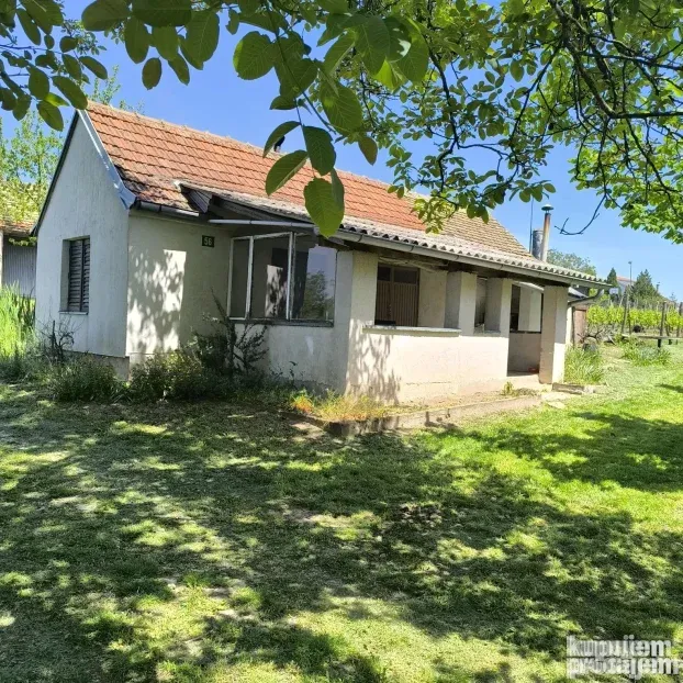 Vinograd sa voćnjakom