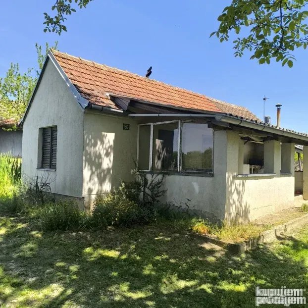 Vinograd sa voćnjakom