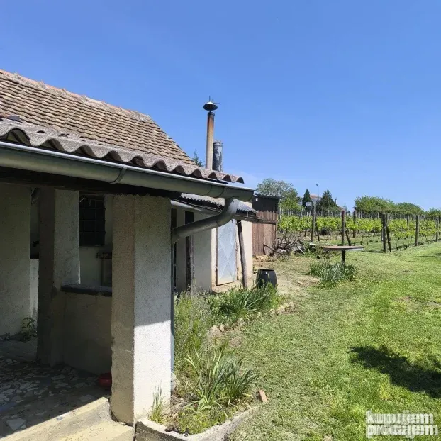 Vinograd sa voćnjakom