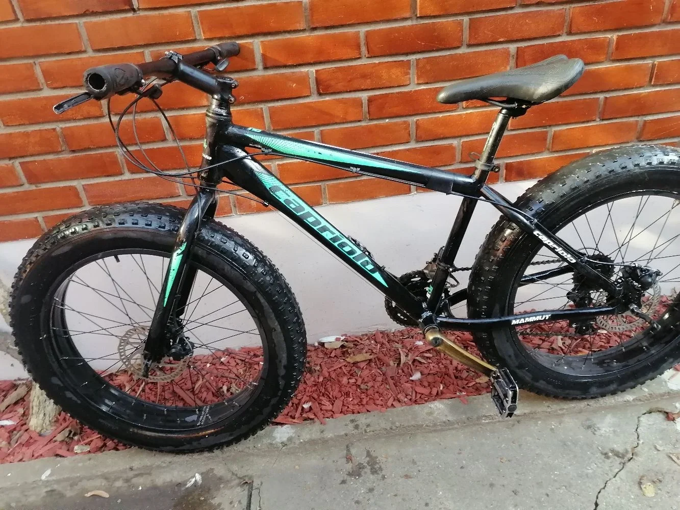 Fat bike capriolo sale