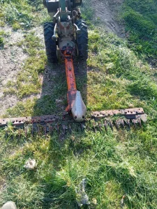 kosa za malog labina