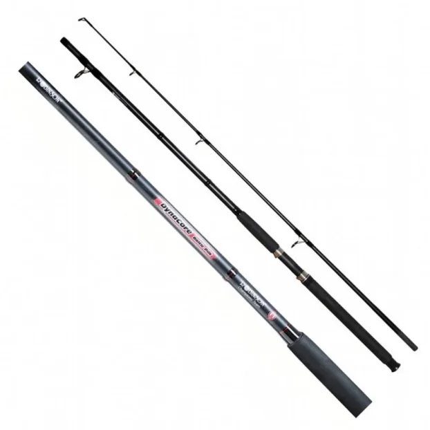 Dubinski štap Robinson Carbonic Baltic Pilk 3m 100-300 gr