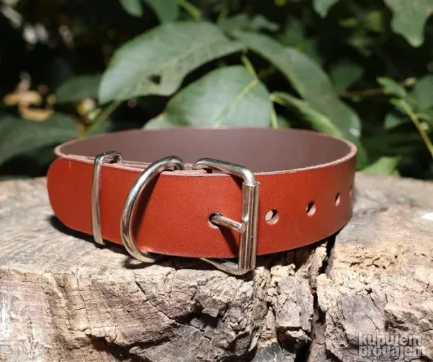 Ogrlica za pse STYLISH 40mm više modela