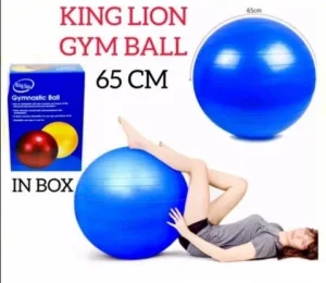 NOVO! Fitnes Lopta Za Vezbanje 65cm Pilates Gym Ball