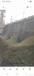 Repin repic I rezanac na kucnu adresu kiperom