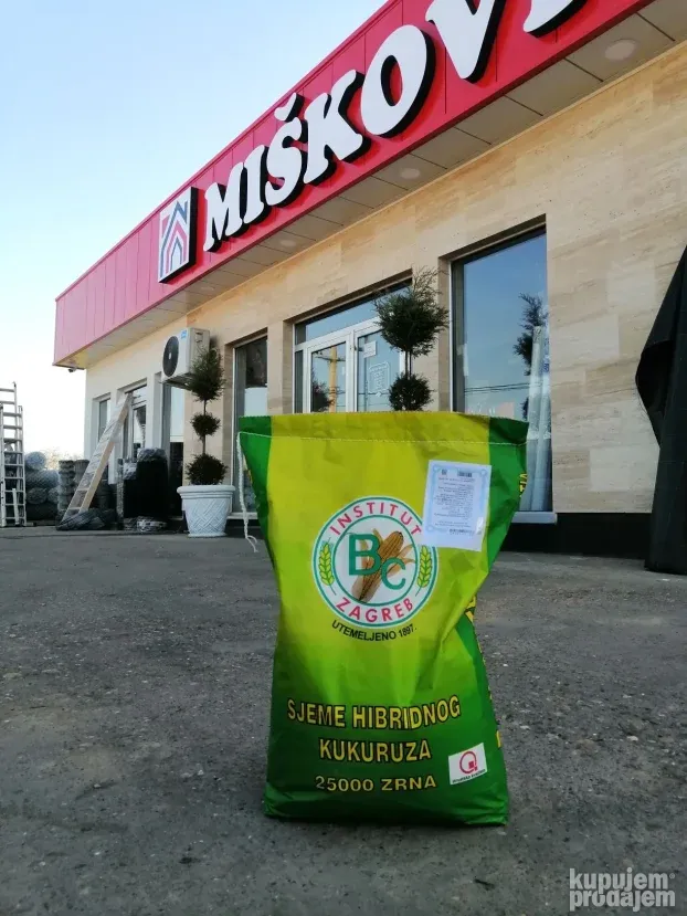 Semenski kukuruz - Pajdaš