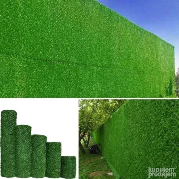 Semenski kukuruz - Pajdaš
