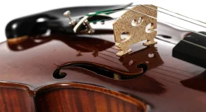 Violina Gibaloff Ysaye Guarnerius Del Gesu 1740