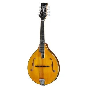 Richwood RMA-10-VS A-STYLE