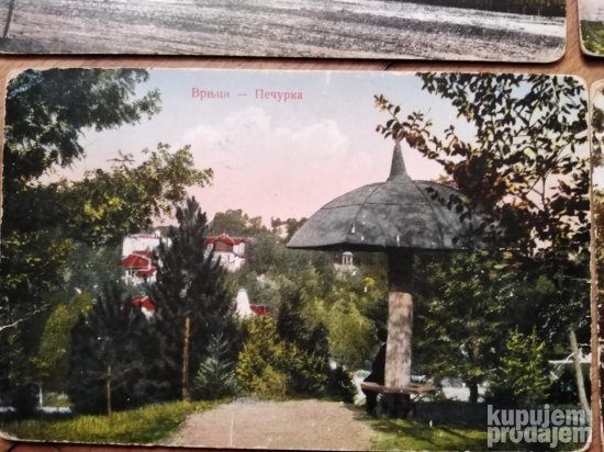 Vrnjci(5kom)